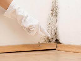 Mold Remediation for Rental Properties in Pegram, TN